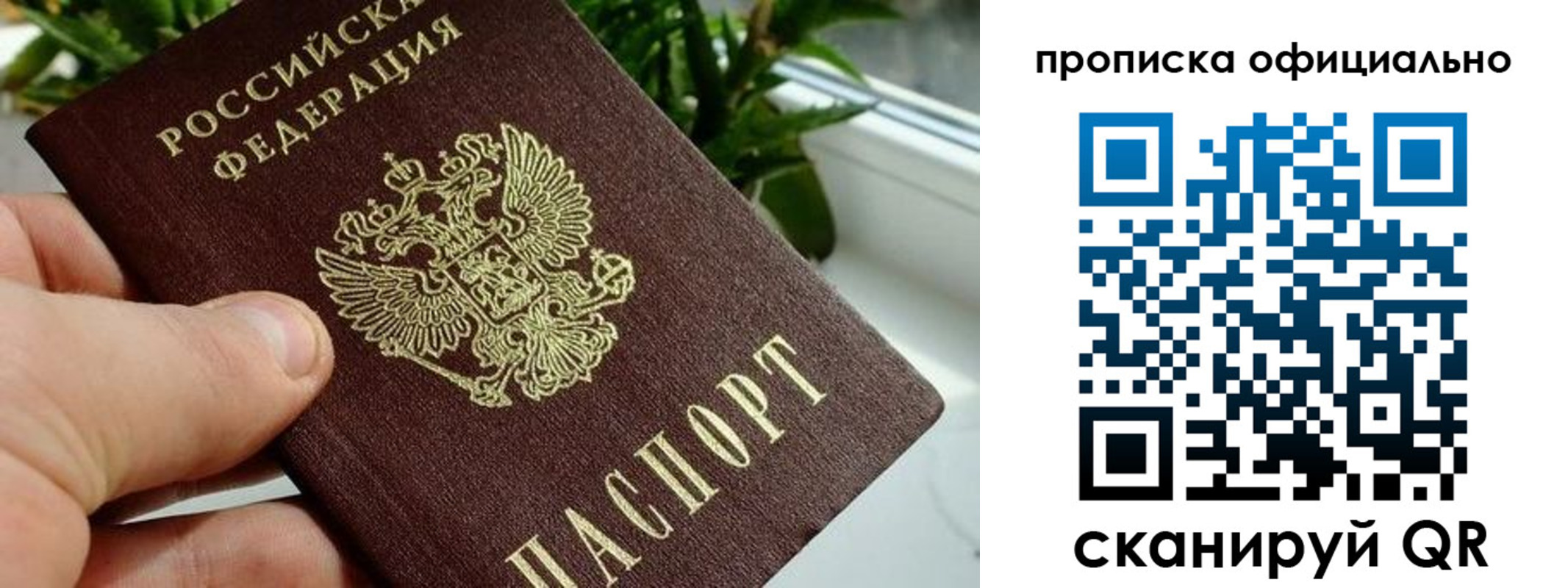 прописка поиск в Углегорске